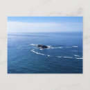 Search for otter postcards Pacific