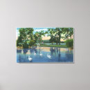 Search for swans canvas prints Lake