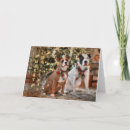 Search for pitbull christmas cards Pet