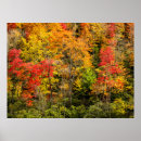 Search for ridge posters Pisgah national forest