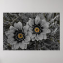 Search for greyscale posters Flowers