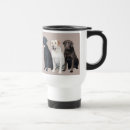 Search for labrador travel mugs Labs