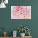 Search for rose petals art Nature