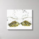 Search for turtle shell art Animal