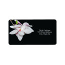 Search for magnolia blossoms return address labels Nature