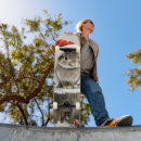 Search for haring skateboards Animal