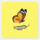 Search for monarch caterpillar stickers Butterflies