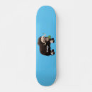 Search for akes skateboards Alaska