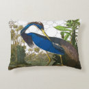 Search for louisiana cushions John james audubon