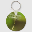 Search for seed key rings Nature