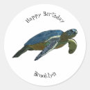 Search for cartoon turtles stickers Ocean