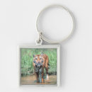 Search for looking front key rings Nature