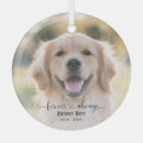 Search for pet memorials In loving memory