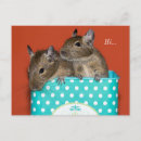 Search for cute coffee postcards Animal lover