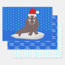Search for walrus wrapping paper Cute