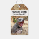 Search for drill sergeant Dog
