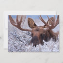 Search for tetons cards Wyoming