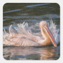 Search for motion stickers Water