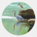 Search for heron stickers Wild