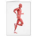 Search for trapezius Illustration