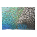 Search for peacock pillowcases Abstract