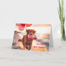 Search for red golden retriever Birthday