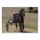 Search for standardbred Photography