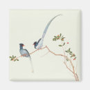 Search for ornithology magnets Ornithological