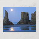 Search for joe stack Ocean