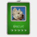 Search for pet supplies For pets
