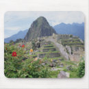 Search for machu electronics Incas