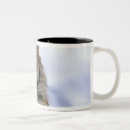 Search for siberian tiger mugs Outdoors