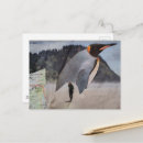 Search for black and white penguin postcards Blue
