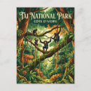 Search for chimpanzee postcards Travel