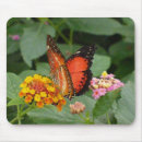 Search for butterfly wings mouse mats Green
