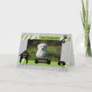Search for dog cards From the dog