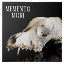 Search for anatomy tiles Skull