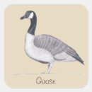 Search for black and white bird stickers Drawing
