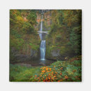 Search for multnomah fall magnets Landscape