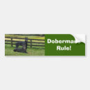 Search for doberman pinscher bumper stickers Dog