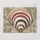 Search for sonnet postcards Seaside