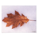 Search for solitude photography Winter