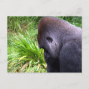 Search for contemplate postcards Thinking