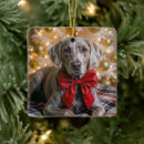 Search for weimaraner christmas tree decorations Cute
