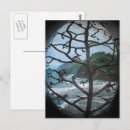 Search for spotlight postcards Ocean
