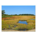 Search for tide pool posters Water