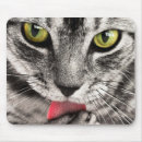 Search for it licks electronics Pet