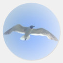 Search for sea shore stickers Seagull
