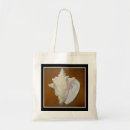 Search for conch shells Nautical