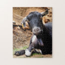 Search for goat puzzles Nature